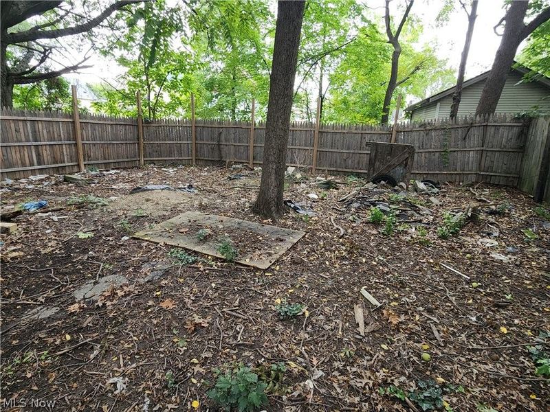 10001 Sophia Avenue, Cleveland, OH 44104 Photo 41
