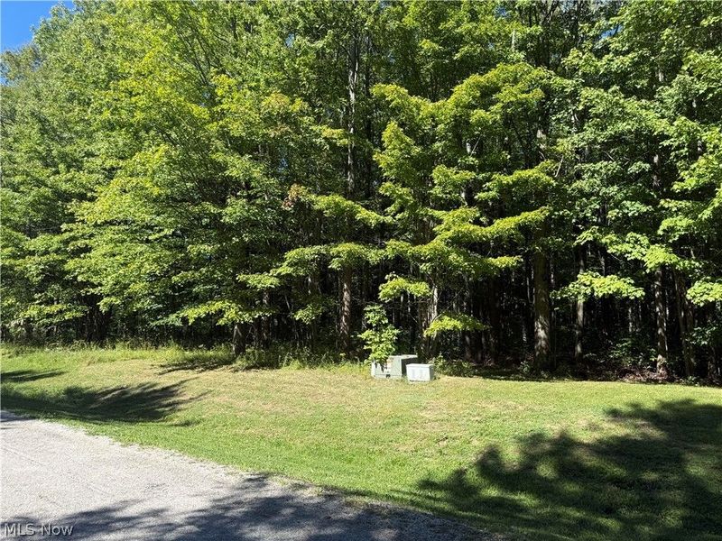 Shirley Drive, Painesville, OH 44077 Photo 2
