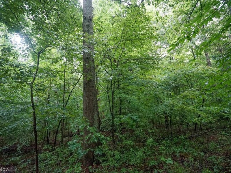 Duncanson Rd, OH 45172 Photo 10