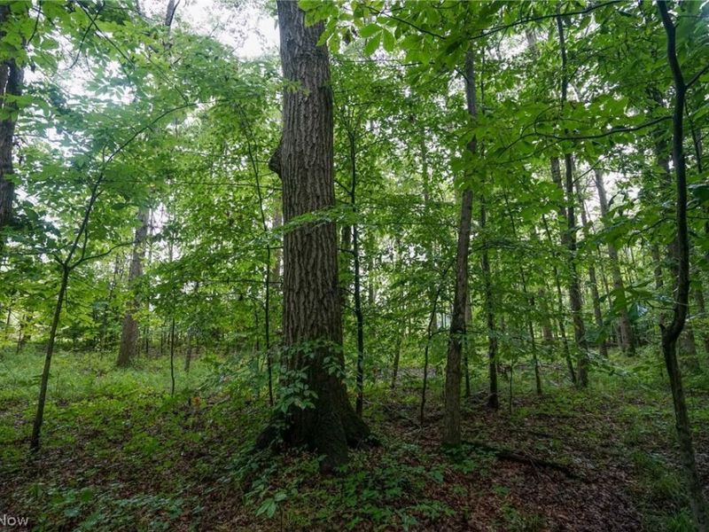 Duncanson Rd, OH 45172 Photo 11