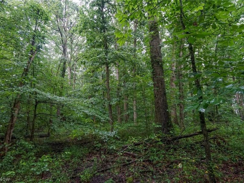 Duncanson Rd, OH 45172 Photo 12