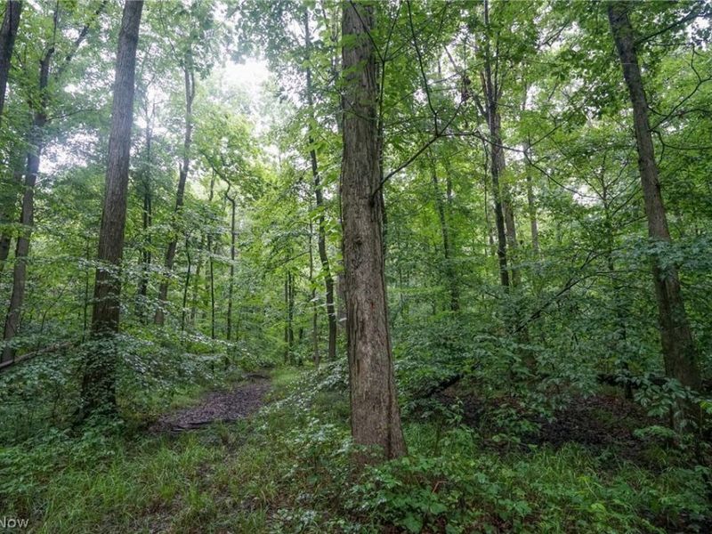 Duncanson Rd, OH 45172 Photo 13