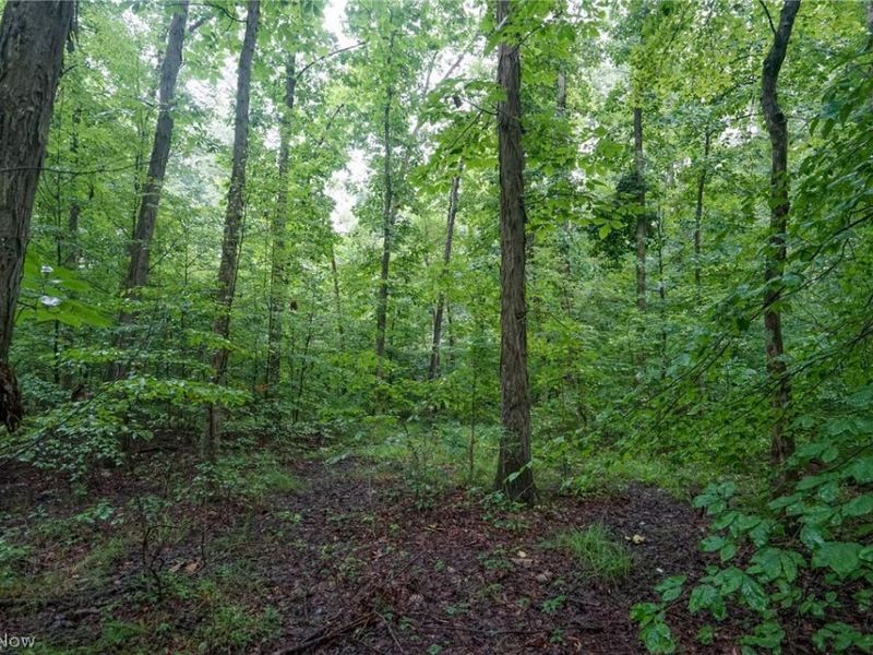 Duncanson Rd, OH 45172 Photo 14