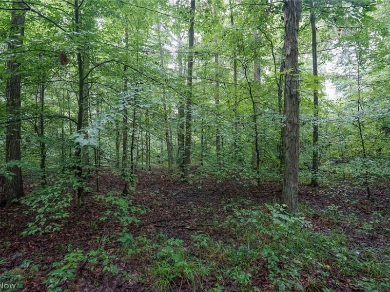 Duncanson Rd, OH 45172 Photo 15