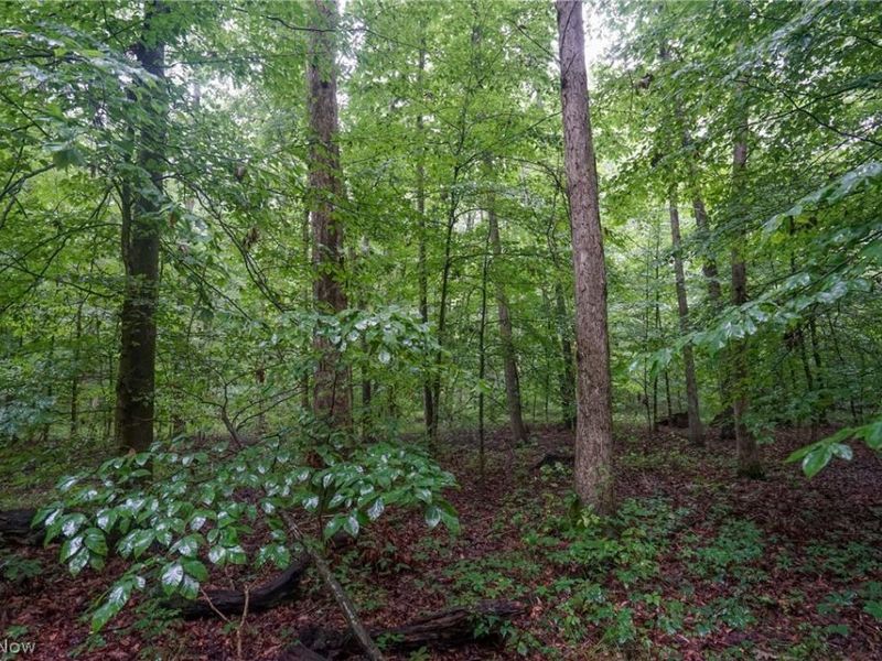 Duncanson Rd, OH 45172 Photo 16
