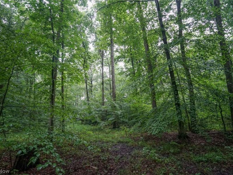 Duncanson Rd, OH 45172 Photo 18