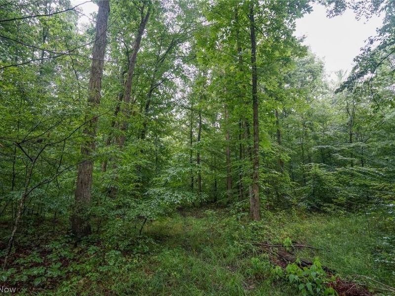 Duncanson Rd, OH 45172 Photo 19