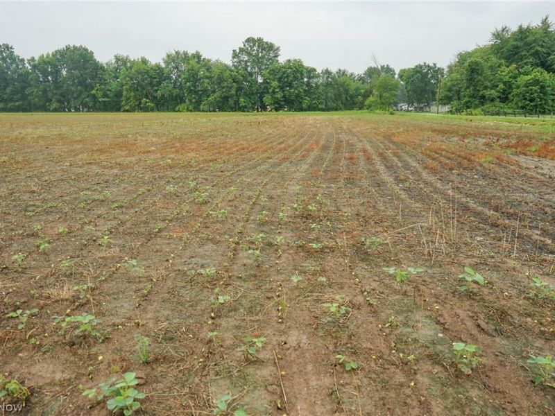 Duncanson Rd, OH 45172 Photo 2