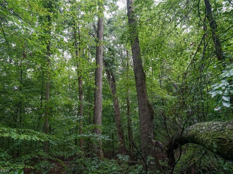 Duncanson Rd, OH 45172 Photo 20