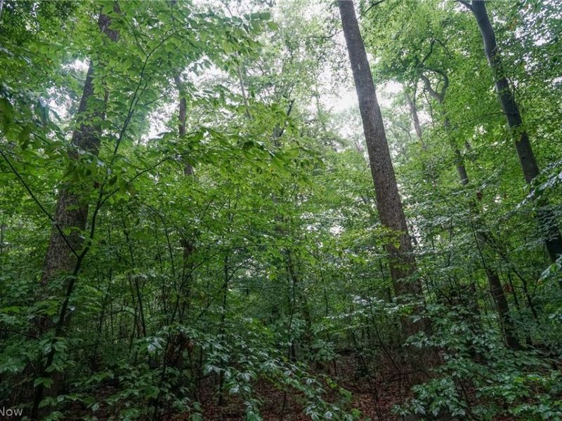 Duncanson Rd, OH 45172 Photo 21