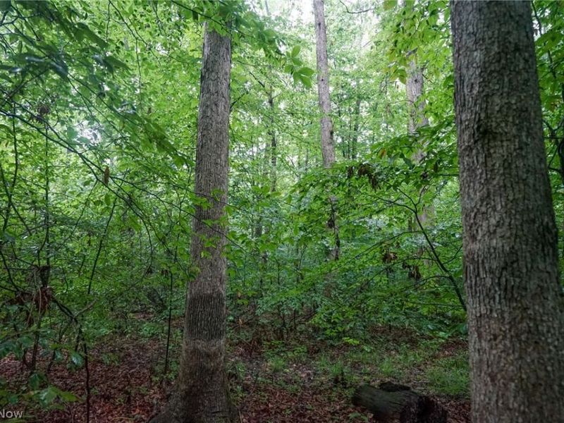 Duncanson Rd, OH 45172 Photo 22