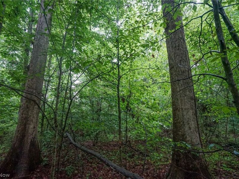 Duncanson Rd, OH 45172 Photo 24