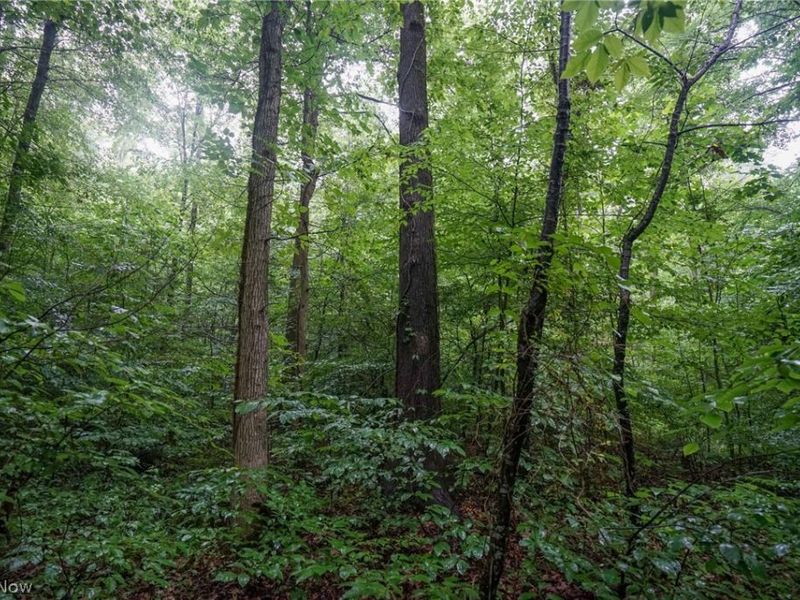 Duncanson Rd, OH 45172 Photo 25