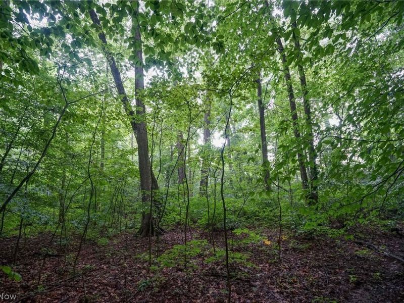 Duncanson Rd, OH 45172 Photo 26