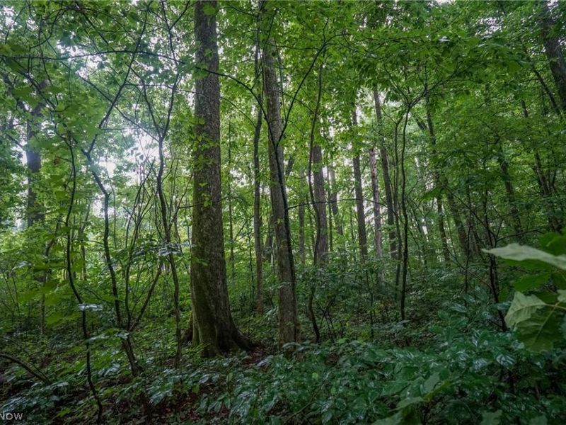 Duncanson Rd, OH 45172 Photo 29
