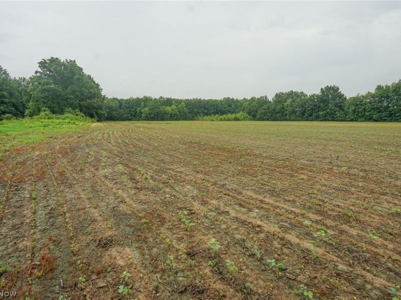 Duncanson Rd, OH 45172 Photo 3