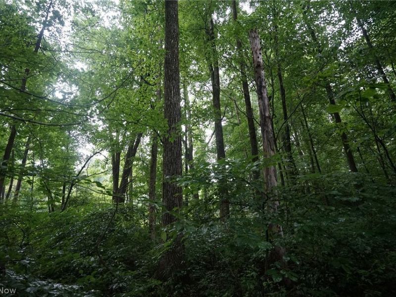 Duncanson Rd, OH 45172 Photo 30
