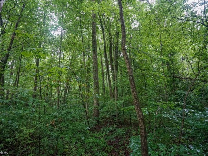 Duncanson Rd, OH 45172 Photo 31