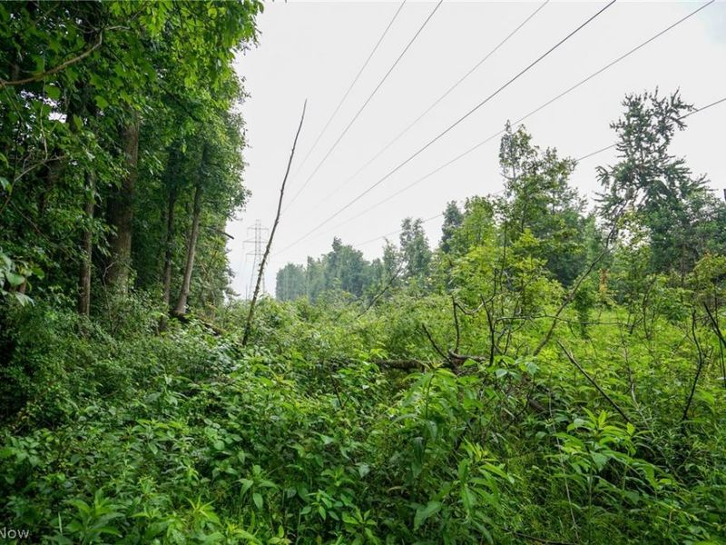 Duncanson Rd, OH 45172 Photo 34