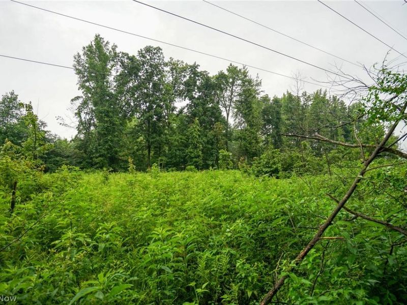 Duncanson Rd, OH 45172 Photo 35