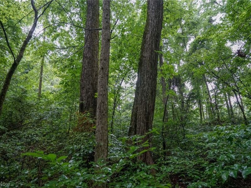 Duncanson Rd, OH 45172 Photo 37