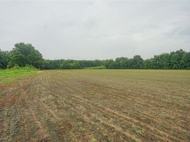 Duncanson Rd, OH 45172 Photo 4