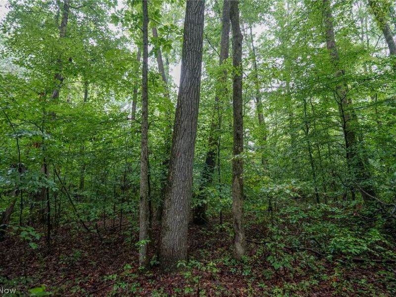 Duncanson Rd, OH 45172 Photo 40
