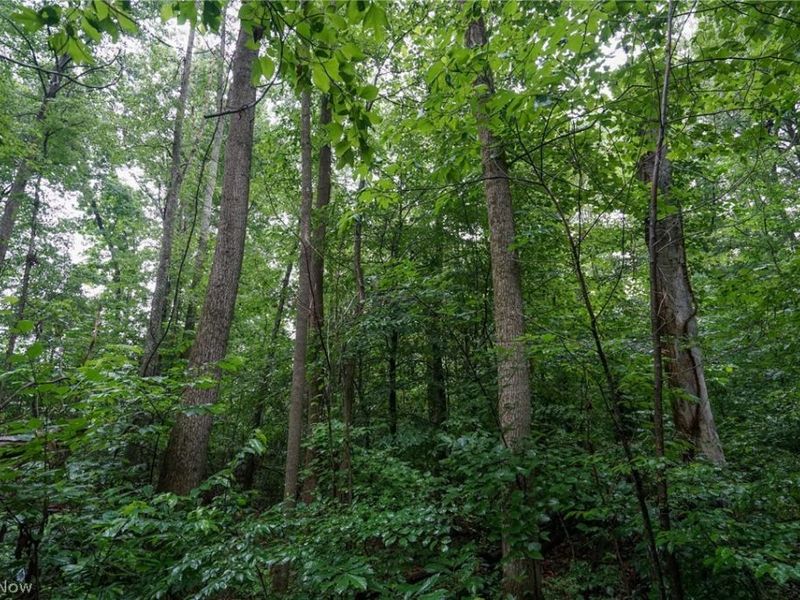 Duncanson Rd, OH 45172 Photo 42