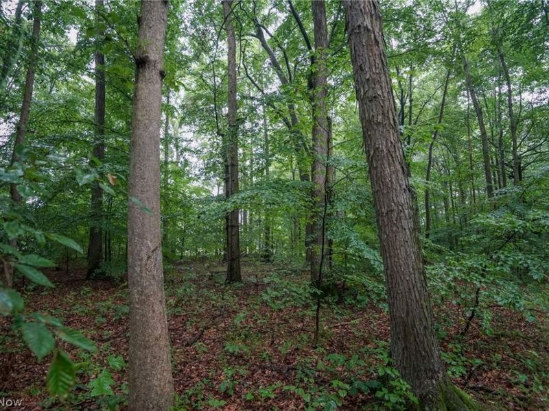 Duncanson Rd, OH 45172 Photo 44