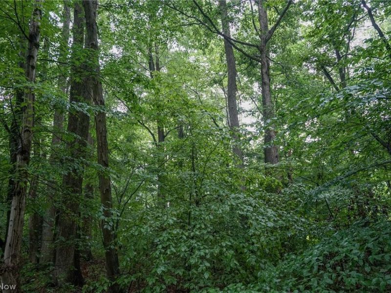 Duncanson Rd, OH 45172 Photo 45