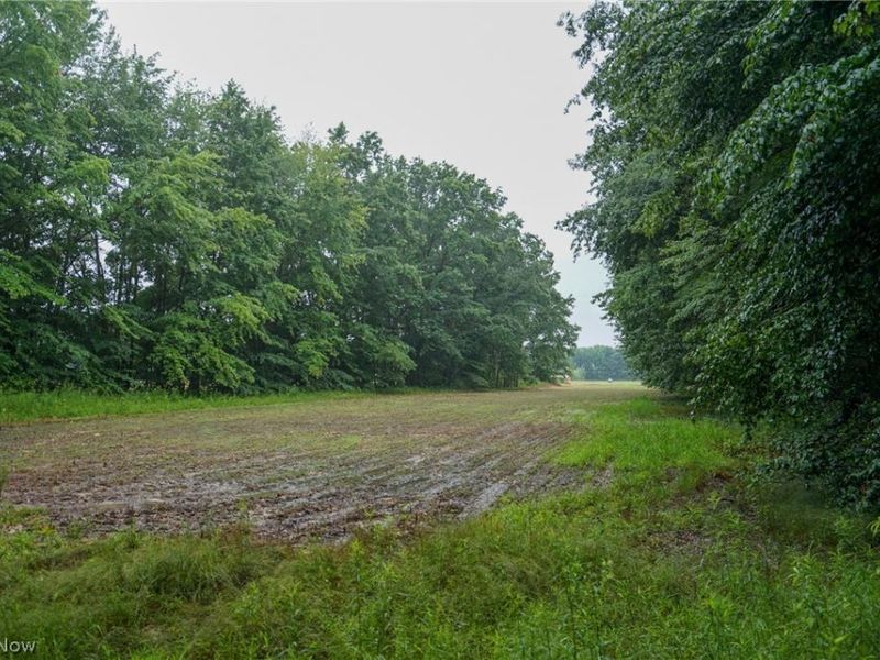 Duncanson Rd, OH 45172 Photo 46