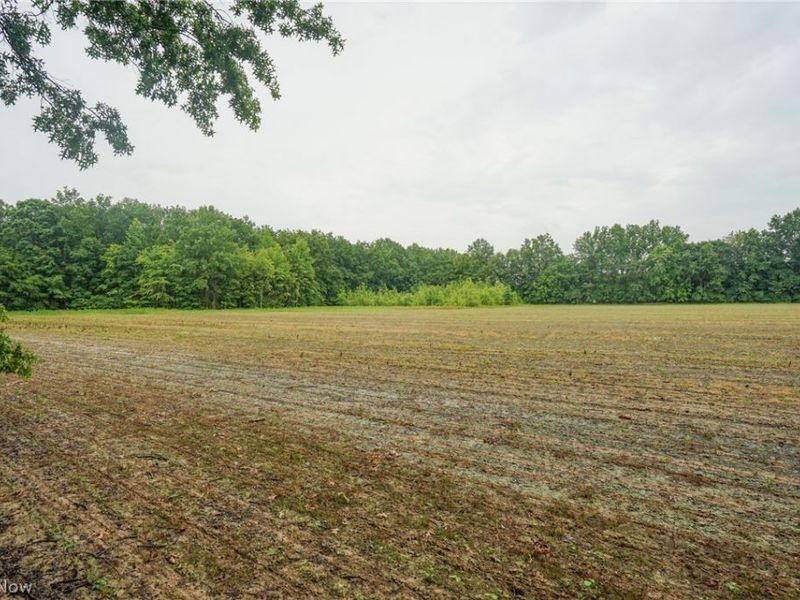Duncanson Rd, OH 45172 Photo 5