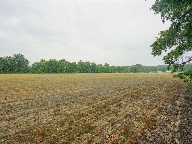 Duncanson Rd, OH 45172 Photo 6