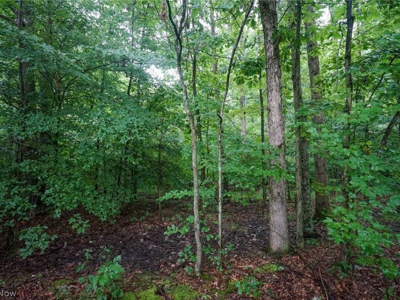 Duncanson Rd, OH 45172 Photo 7