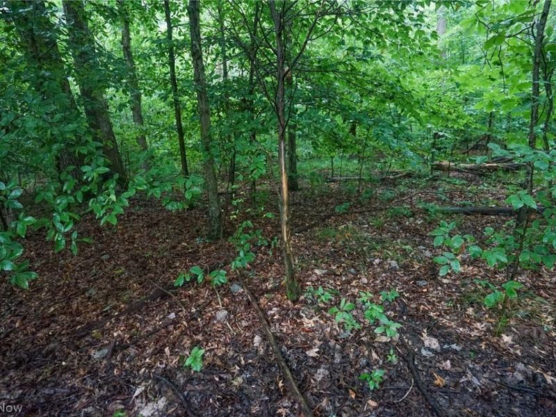 Duncanson Rd, OH 45172 Photo 8