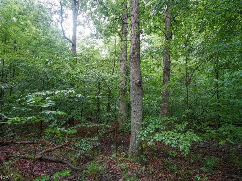 Duncanson Rd, OH 45172 Photo 9