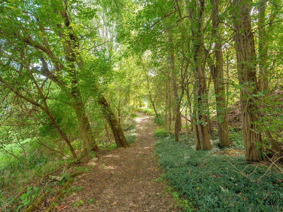 Property Image 62