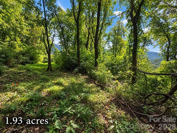 81 Dove Crest Lane , Waynesville, NC 28786