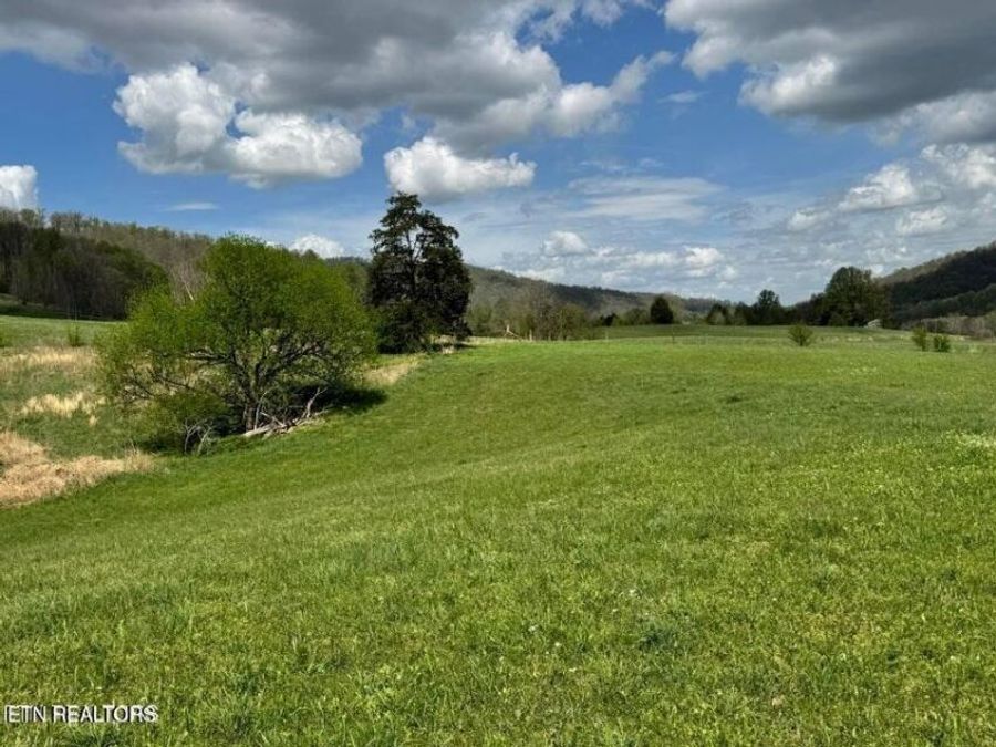 Property Image 55