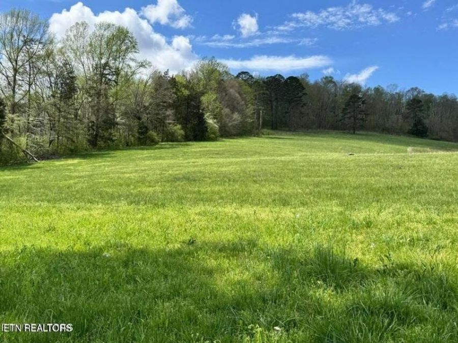 Property Image 59