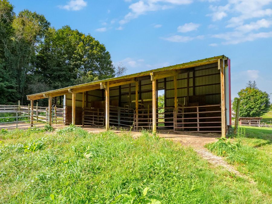 Property Image 29