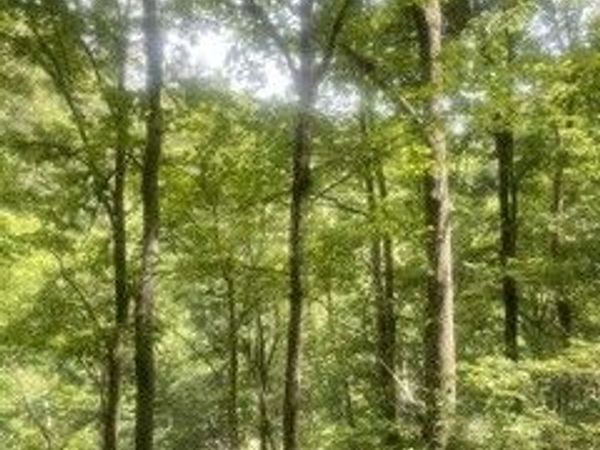 0 Meadow View Road , Unit Lot 3, Sevierville, TN 37862