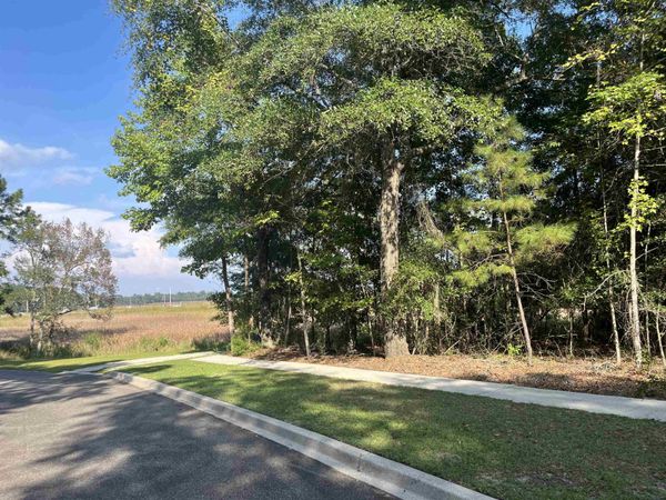 TBD Warham Dr. , Georgetown, SC 29440