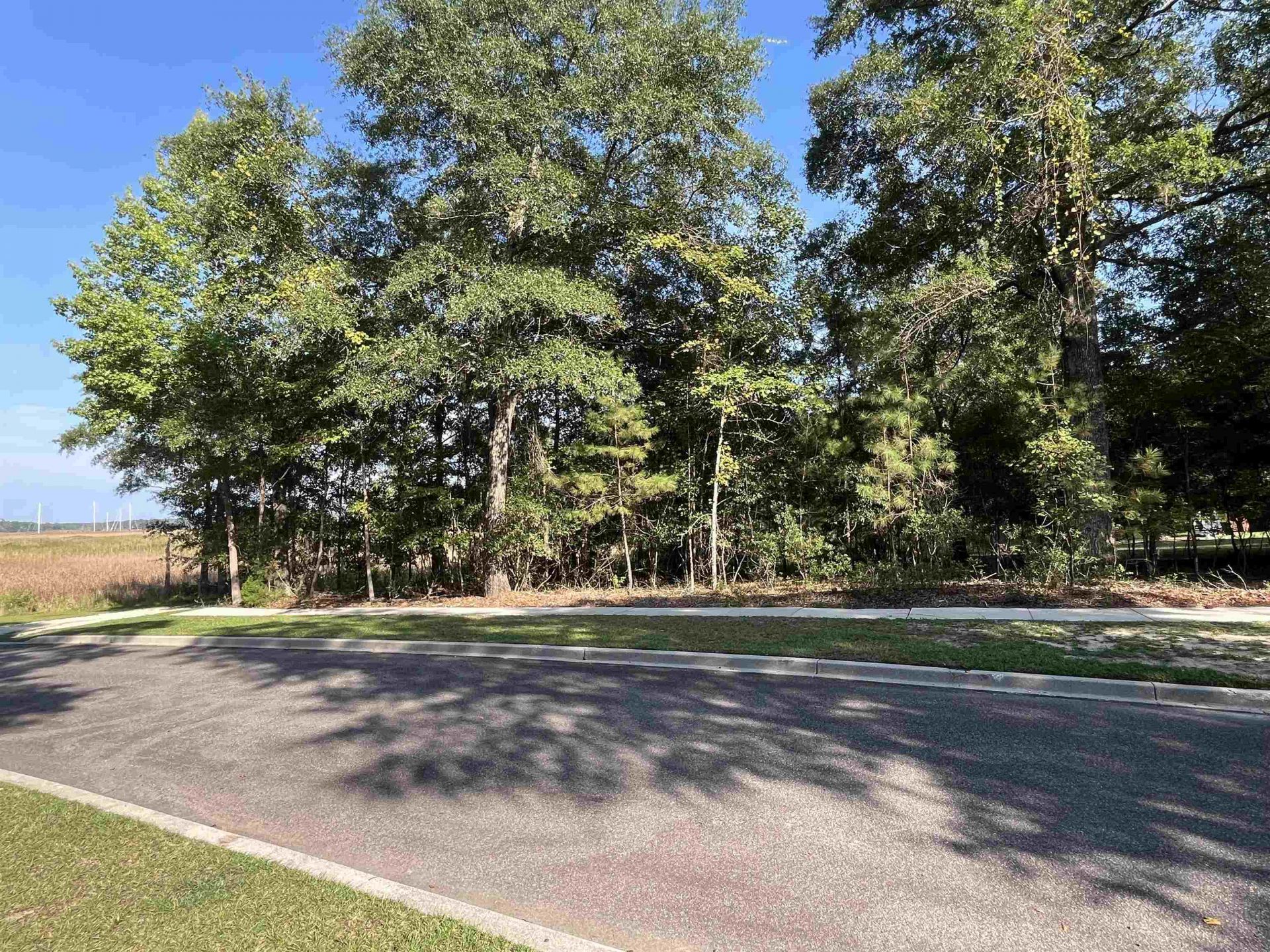 Tbd Warham Dr.  Photo 8