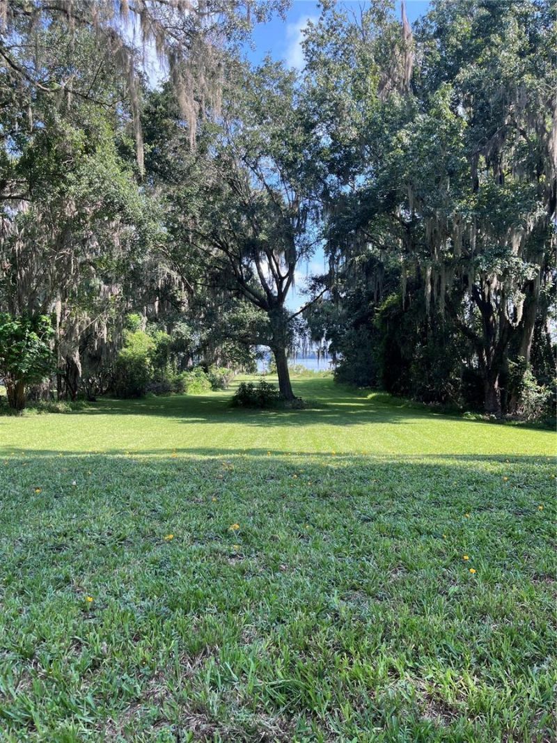 16928 NE 120th Avenue, Waldo, FL 32694 Photo