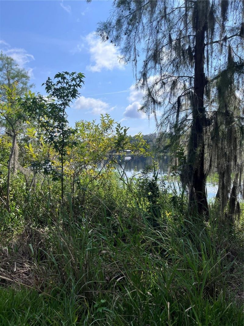 16928 NE 120th Avenue, Waldo, FL 32694 Photo