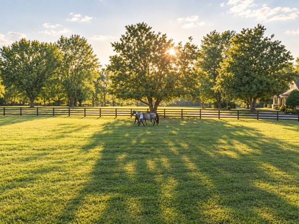 160 Lancaster Dr , Franklin, TN 37064