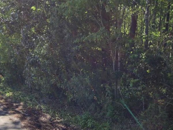 1124 FLEMING Street, Fleming Island, FL 32003