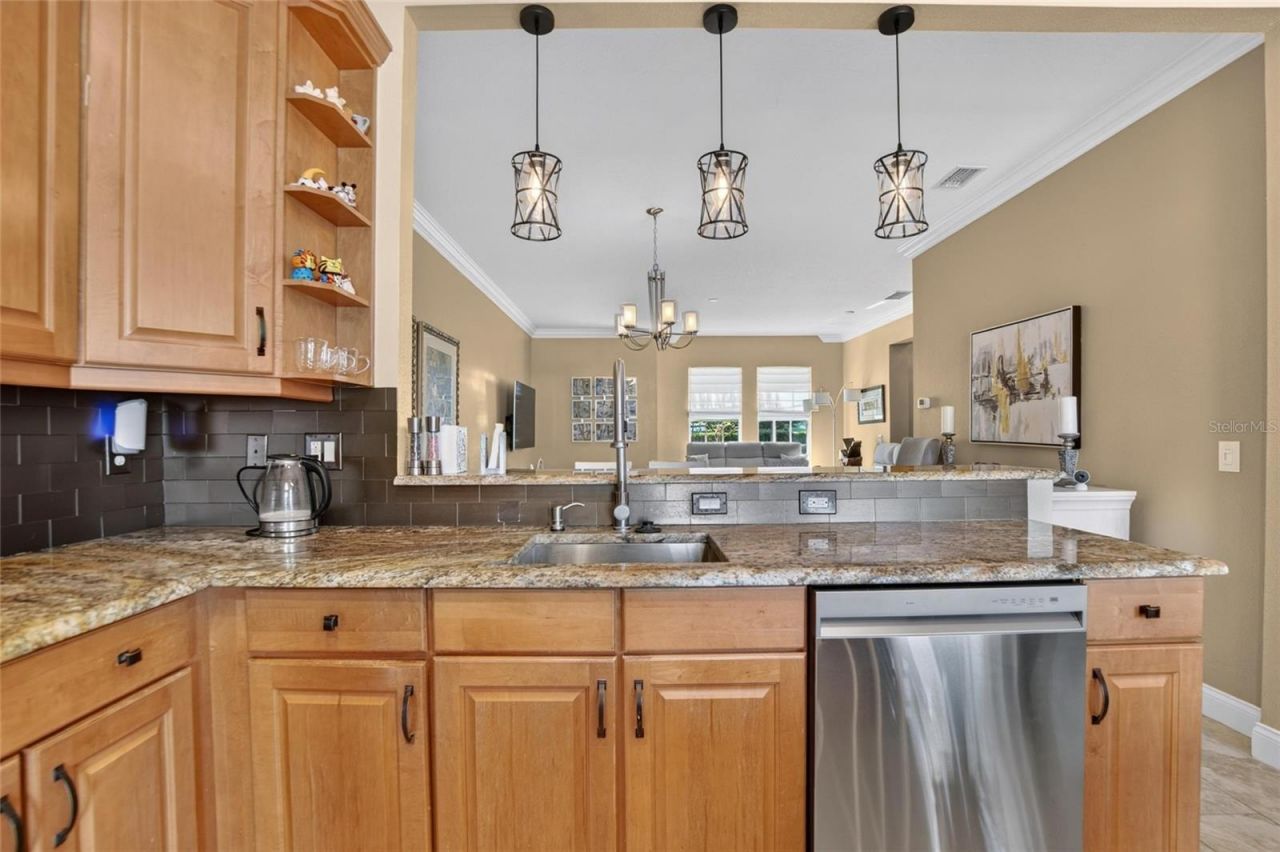 5518 Luminar Pointe Lane , Apollo Beach, FL 33572 Photo