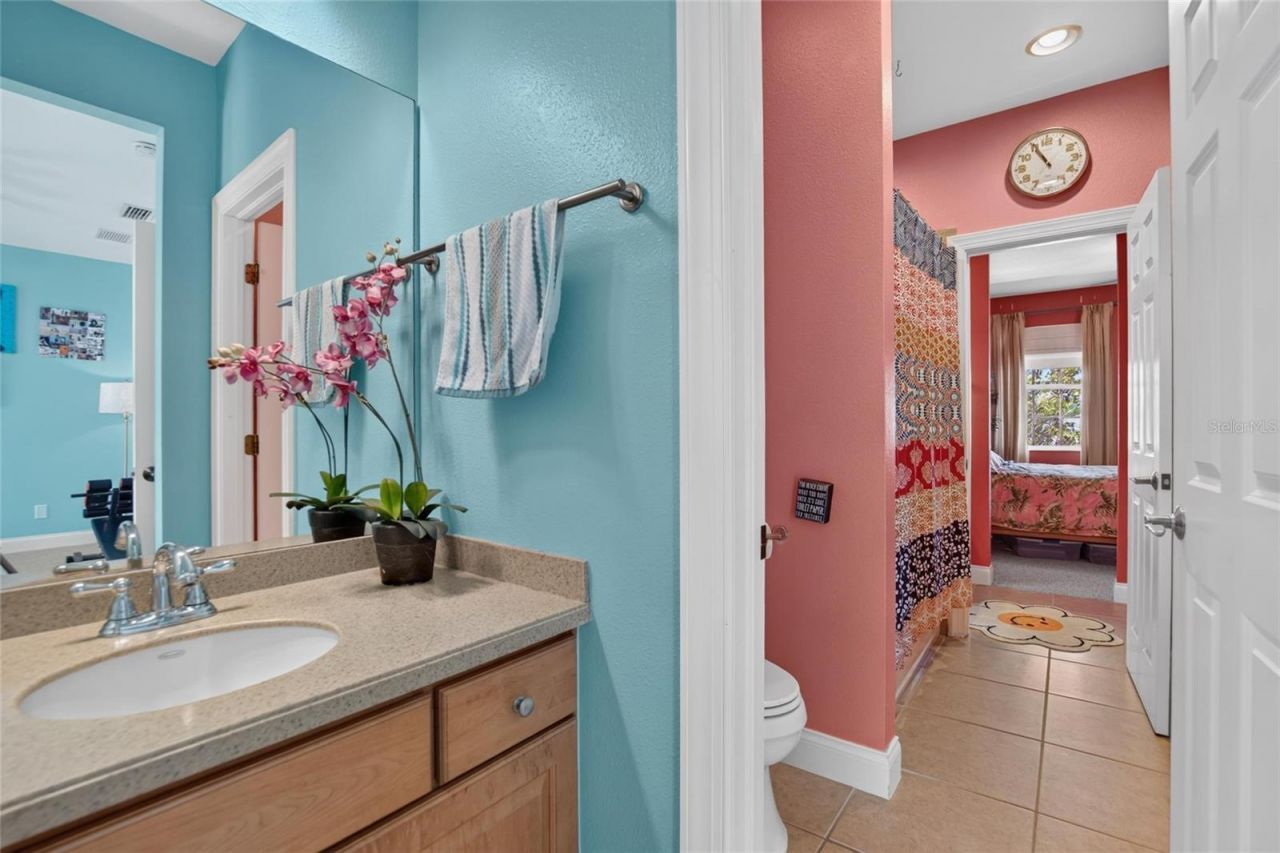 5518 Luminar Pointe Lane , Apollo Beach, FL 33572 Photo